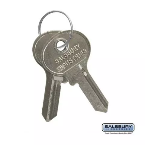 Key Blanks for Key Padlocks of Extra Wide Designer Lockers Box of (50)