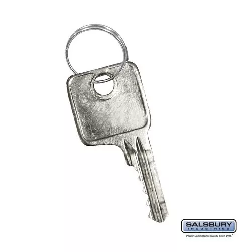 Master Control Key - for Combination Padlock of Extra Wide Designer ...