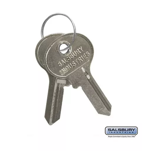 Key Blanks for Key Padlocks of Designer Lockers - Box of (50)