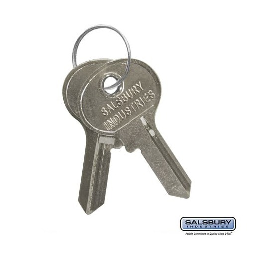 Key Blanks for Key Padlocks of Solid Oak Wood Lockers Box of (50)