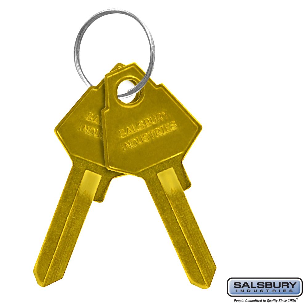 Key Blanks - for Key Padlock of Cell Phone Lockers - Box of 50