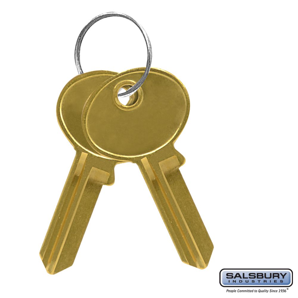 Additional Key - for Cell Phone Storage Locker Standard Lock