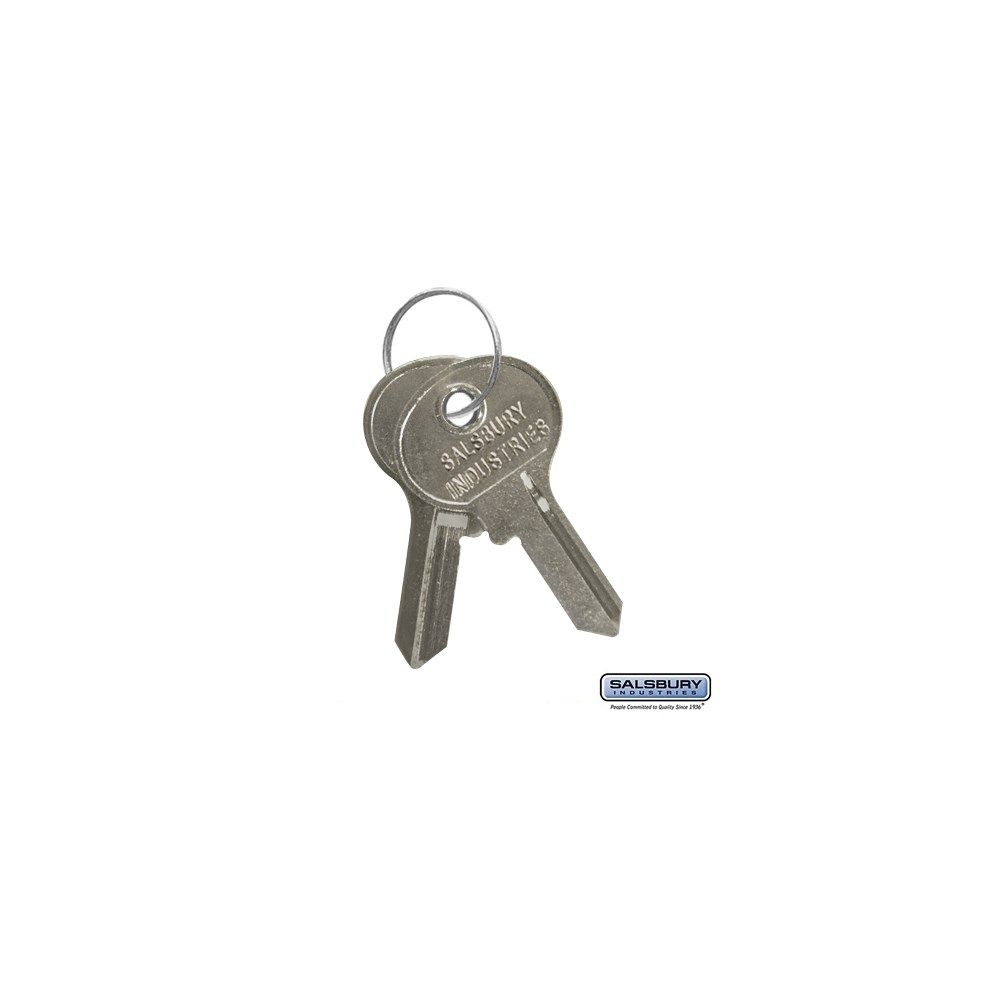 Key Blanks for Key Padlocks of Extra Wide Designer Lockers Box of (50)