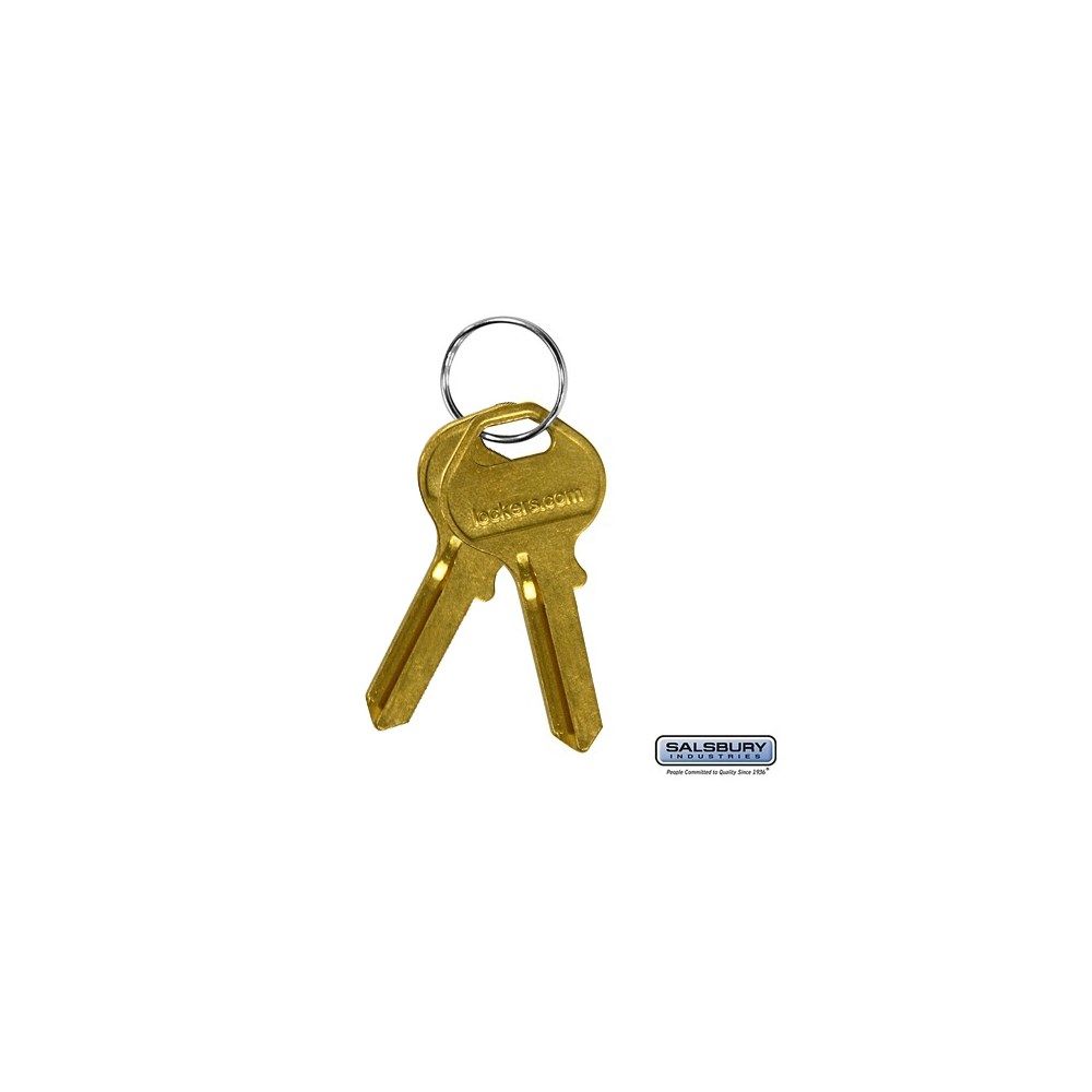 Key Blanks - for Built-in Key Locks of Extra Wide Designer Wood Lockers - Box of (50)